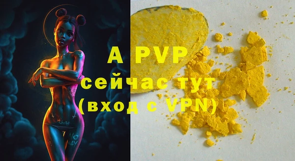a pvp Новозыбков