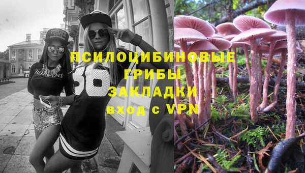 стафф Нефтекумск