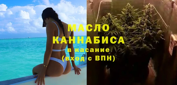 МДПВ Нея
