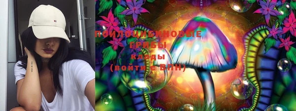 ешки Нефтегорск