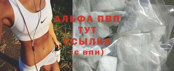 стафф Нефтекумск