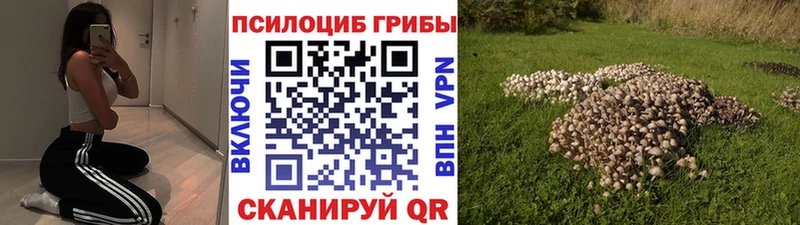 Галлюциногенные грибы Cubensis  Старая Купавна 