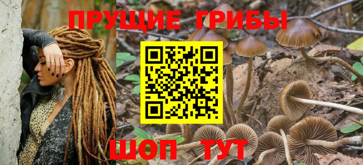 Псилоцибиновые грибы Psilocybine cubensis  Галлюциногенные грибы Psilocybine cubensis  Старая Купавна  Вход с VPN 